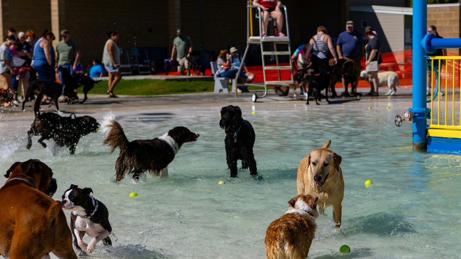 Daycare